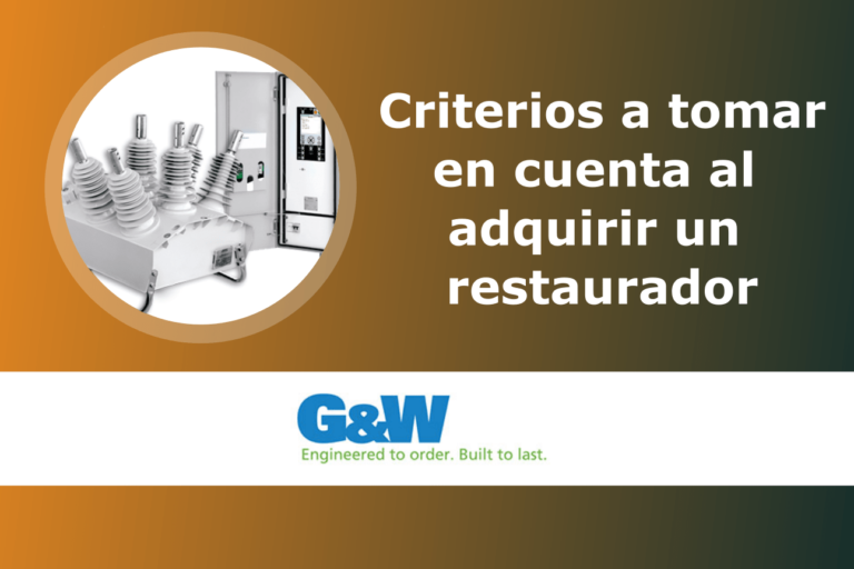 Criterios a tomar en cuenta al adquirir un restaurador