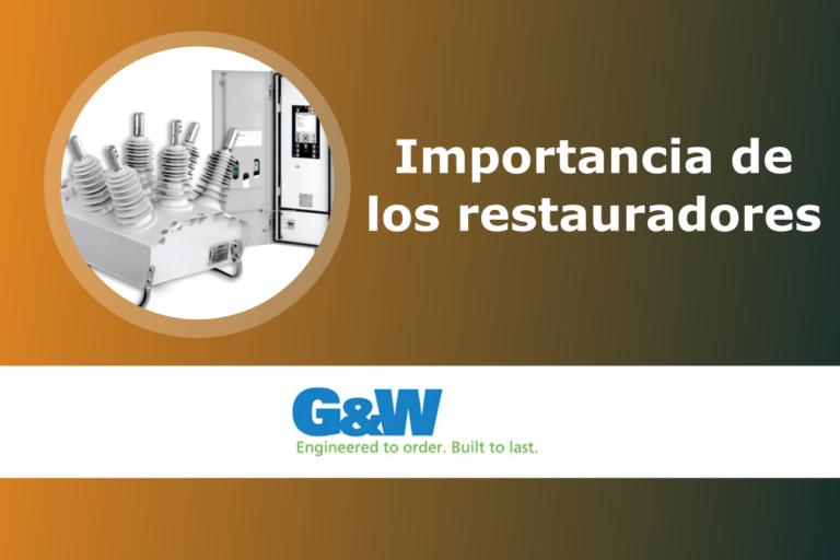 Importancia de los restauradores