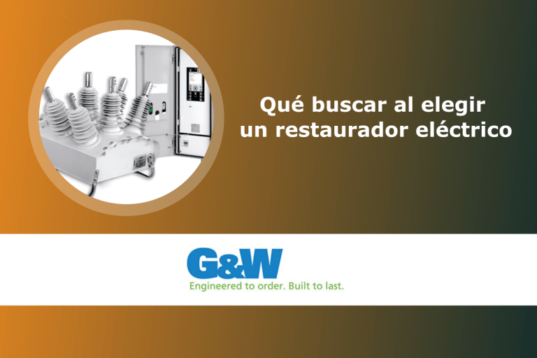 Qué buscar al elegir un restaurador eléctrico