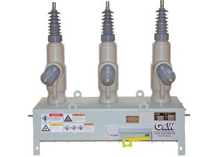 Restauradores eléctricos tipo poste - vista de producto 2
